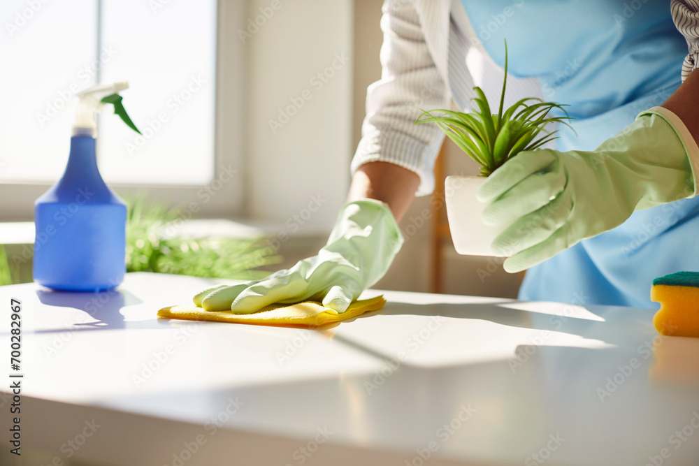 Female cleaner hands in gloves close up, housewife, woman polishing table top with cloths, spray, professional cleaning service working, lady performing home, office duties, tidying up apartment  - obrazy, fototapety, plakaty 