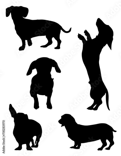 Dachshund silhouettes