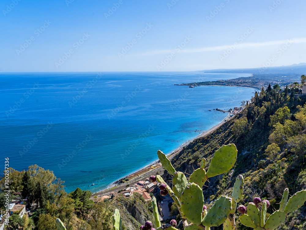Wide-angle panoramic view of Taormina Bay on a clear sunny day from above with the typical prickly pears in the foreground