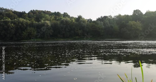 river,   water with waves in the river withtrees  on the river bank photo