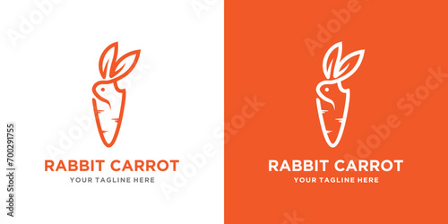 rabbit and carrot in combination, organic design template for health. combination of rabbit with carrots photo