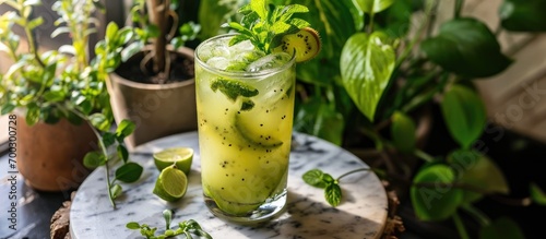 A tall glass with a green kiwi-lime drink on a marble board surrounded by plants.