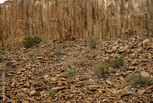 Basalt Rocks Cumble Into The Moraine Below Cliff Side In Big Bend photo