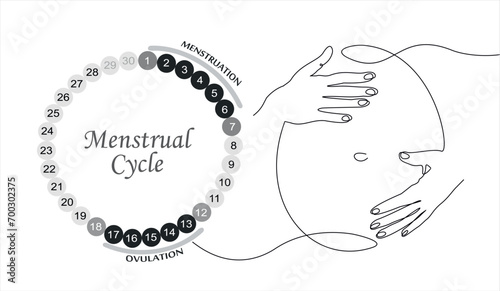 Menstrual cycle. Female calendar planner design.Continuous One line of pregnant woman with heart silhouette on white background. The concept of Menstrual cycle, new life.