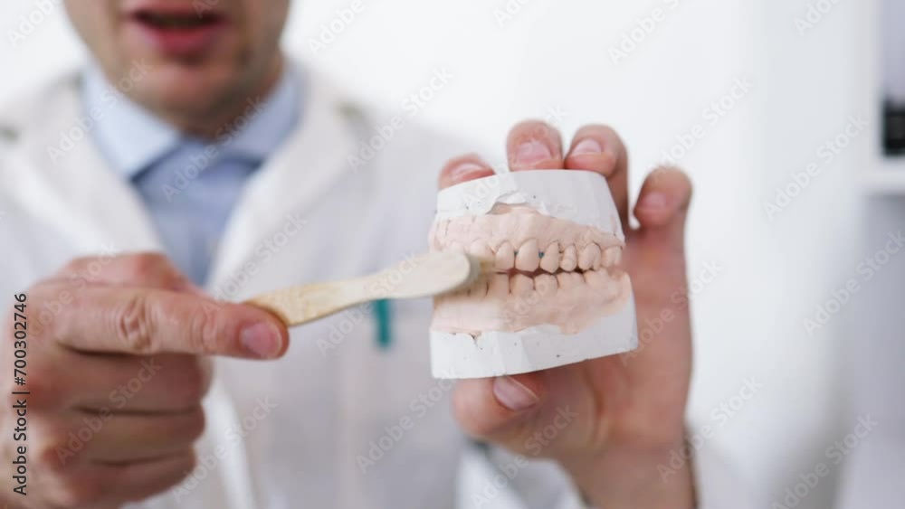 Dental technician looking at plaster cast of jaws while making denture