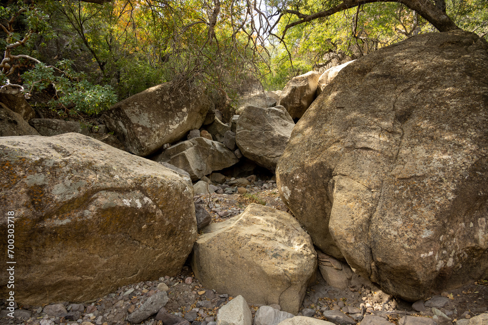 Boulders Gather In A Wash Along Juniper Canyon Trail In Big Bend Boulders Gather In A Wash Along Juniper Canyon Trail In Big Bend