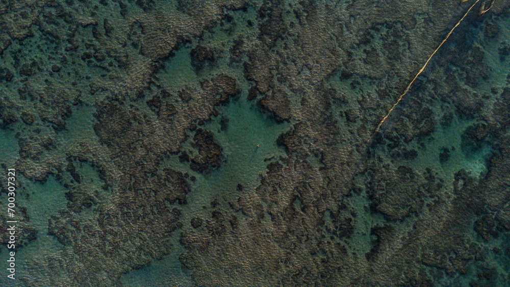 Praia da Ponta Verde - Maceió/AL - Foto de drone
Praia da Ponta Verde - Maceió/AL - Foto de drone