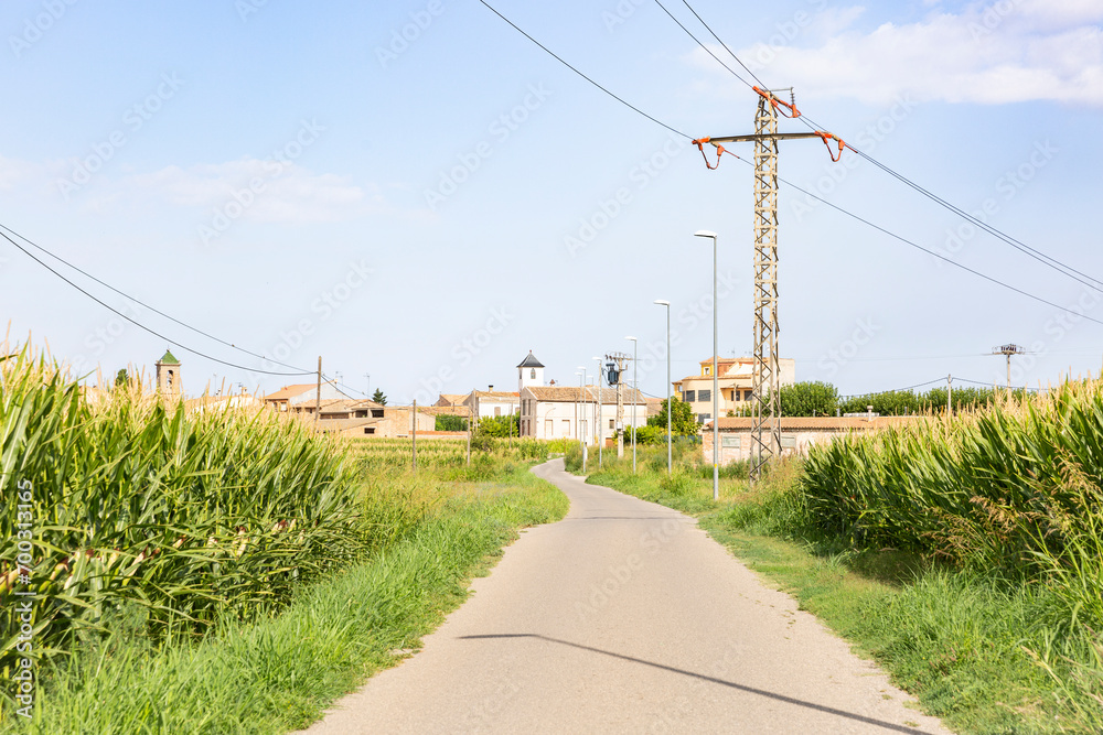 a paved road through agricultural fields entering Boldu village, municipality of La Fuliola, comarca of Urgel, Province of Lleida, Catalonia, Spain
