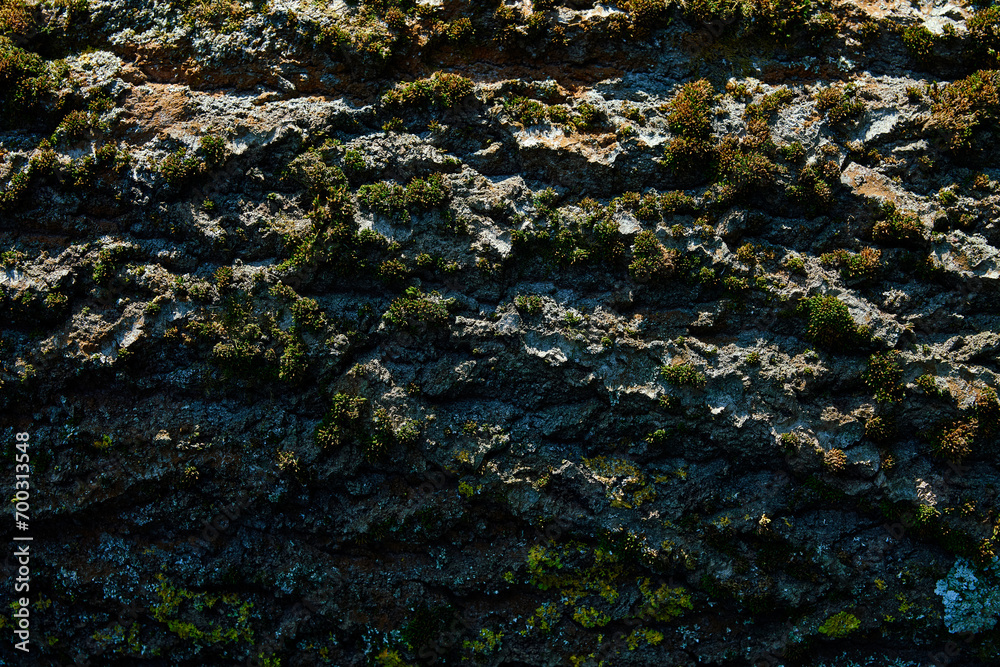 Close-up view captures vibrant green moss growing in clumps on rugged, uneven surface. Irregular growth pattern scattered across surface, accentuated by shadows highlighting textures and contours