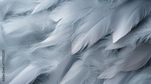  a bunch of white feathers that are all over the surface of a surface of white feathers that are all over the surface of the surface of the surface of the surface of the surface of the surface of the.