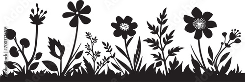 Elegant Noir Petal Perimeter Black Floral Border Inky Botanical Boundary Floral Vector Emblem