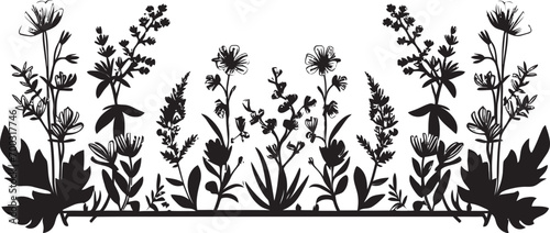 Midnight Floral Framework Floral Border Vector Icon Elegant Noir Bloom Boundary Black Floral Emblem