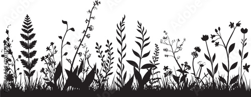Fototapeta Naklejka Na Ścianę i Meble -  Elegant Petal Frame Black Vector Botanical Emblem Inky Floral Embrace Botanical Vector Logo Design