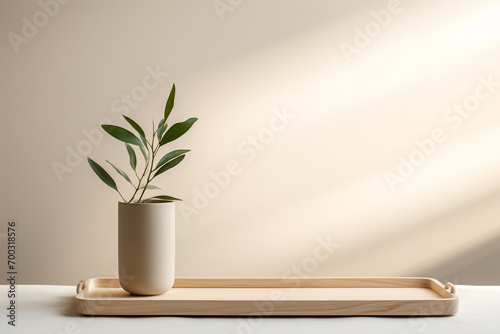 Still life, nature, interior and design concept. Green plant in pot placed on wooden pallet in front of bright blank wall background with copy space. Natural soft light photo