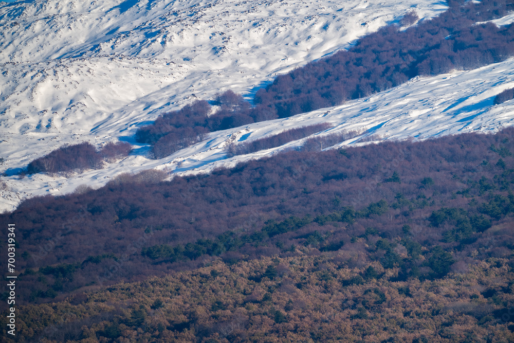 Bronte town under the snowy and majestic volcano Etna and a cloudy blue sky