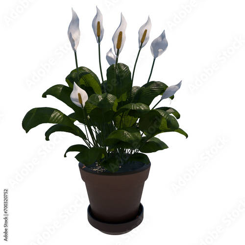 flower in a pot high quality transparent image