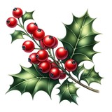 holly berry red Christmas decor for greeting card
