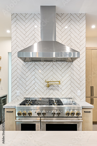 Kitchen Stove Top and Vent Hood in Modern Home