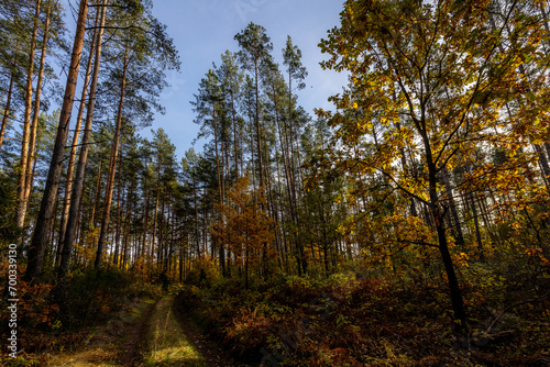Herbstspaziergang in Podlachien  Ostpolen