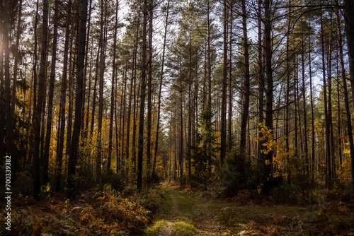 Herbstspaziergang in Podlachien, Ostpolen