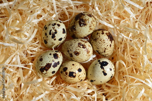 broken quail egg with whole eggs on wood shavings, top view close-up