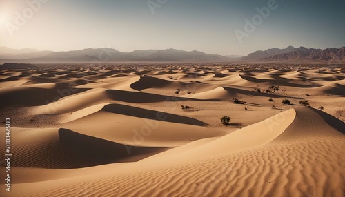 Desert Dunes at Golden Hour photo