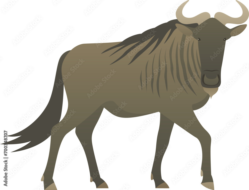 Flat minimalist color illustration of wildebeest standing. African exotic wild animal clipart isolated on white background.