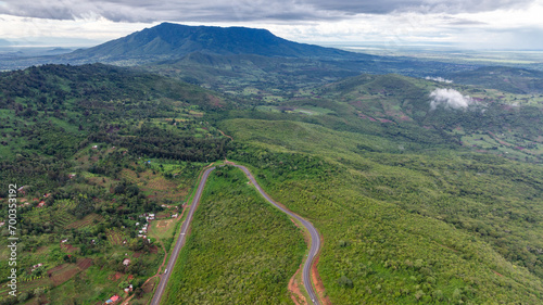 Aerial view of Agricultural plantation.