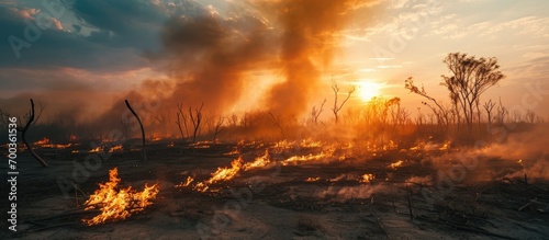 Drought causes fire and air pollution in nature, posing an ecological problem and natural disaster. photo