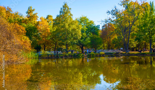 Macedonia - Skopje, October 29, 2023, Skopje city park with yellowed leaves on the trees in autumn © Esin Deniz