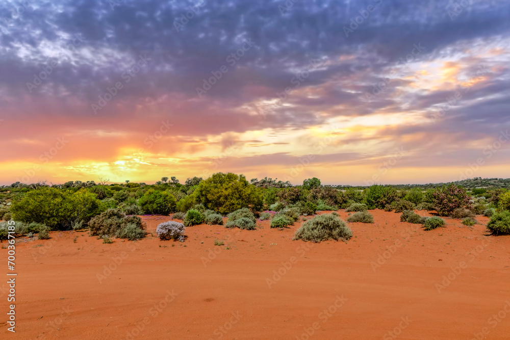 Red Desert - Western Australia just Out of Kalgoorlie