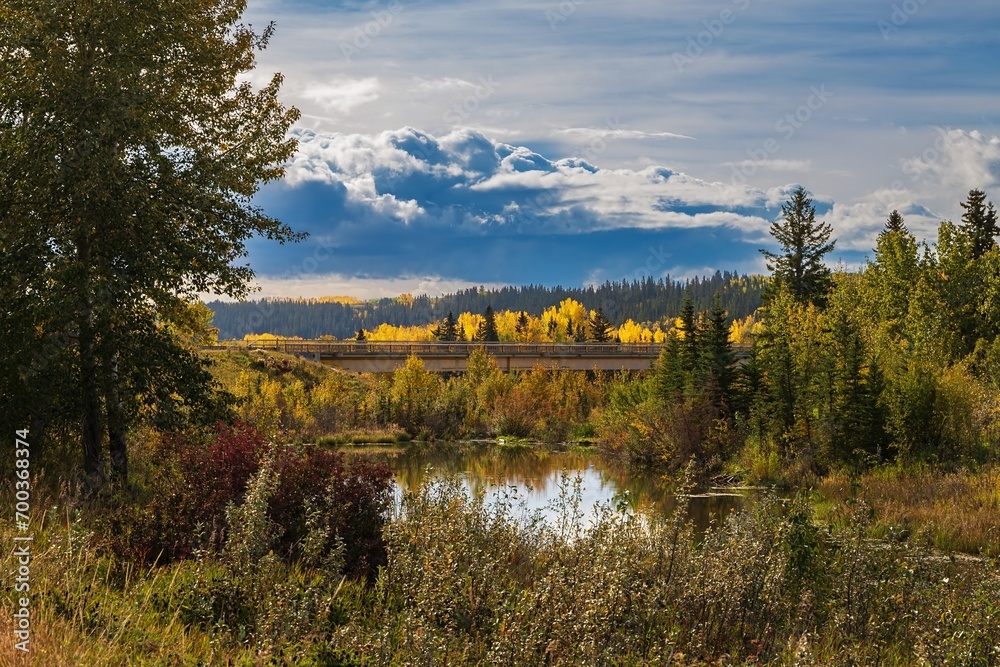 Autumn Park Landscape In Cochrane