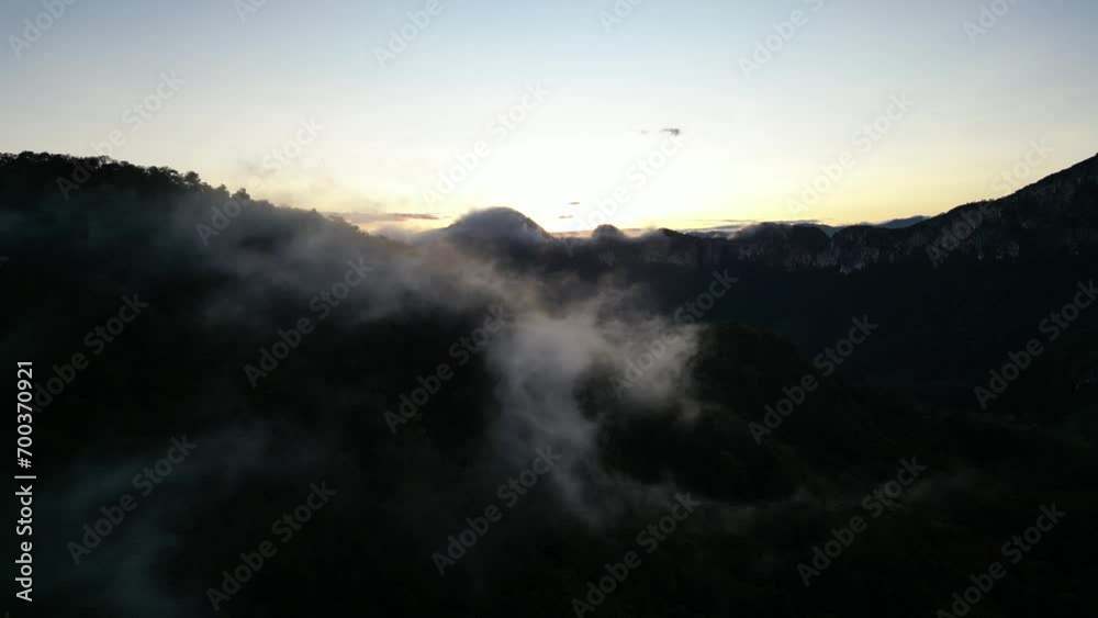 Silhouette bird's-eye view showcasing the unique charm of a plantation covered in a soft white cloud layer