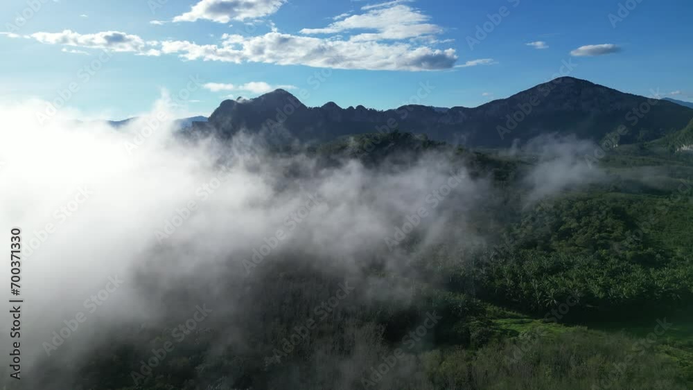 Aerial shot revealing the picturesque landscape of a morning plantation surrounded by gentle low clouds Aerial shot revealing the picturesque landscape of a morning plantation surrounded by gentle low clouds