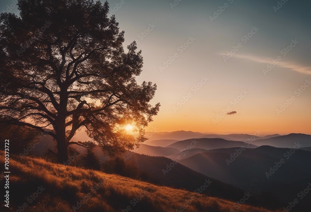 Mountain landscape at sunset Lonely tree on the hill