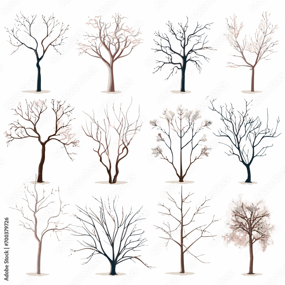 Obraz premium Winter bare trees collections 