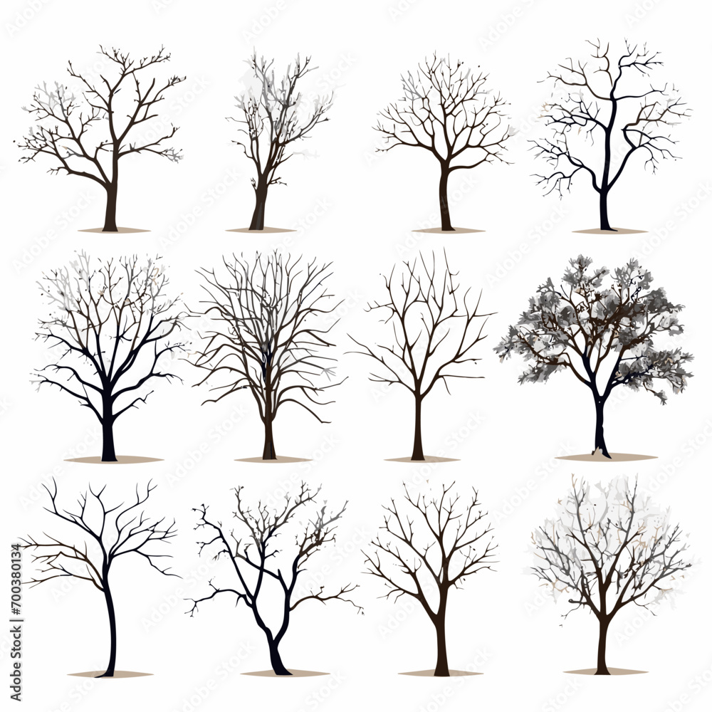 Fototapeta premium winter tree bare trees collection