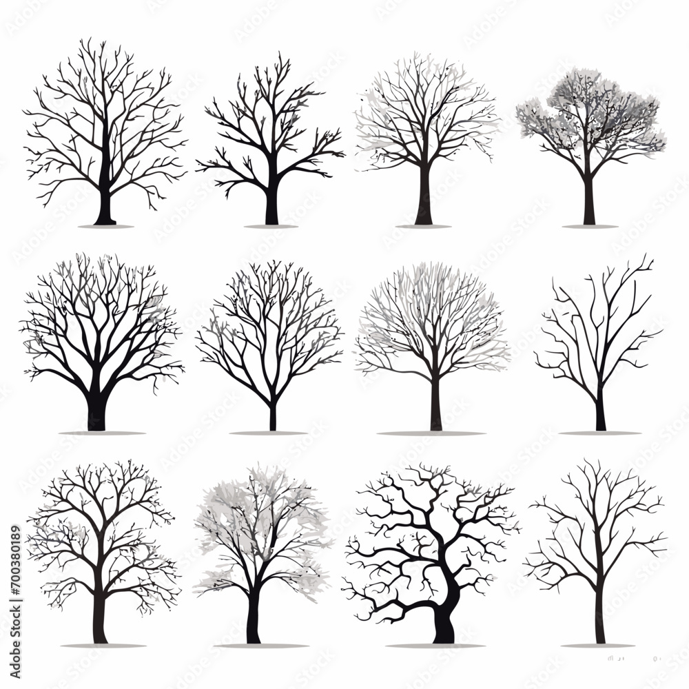 Obraz premium winter tree bare trees collection