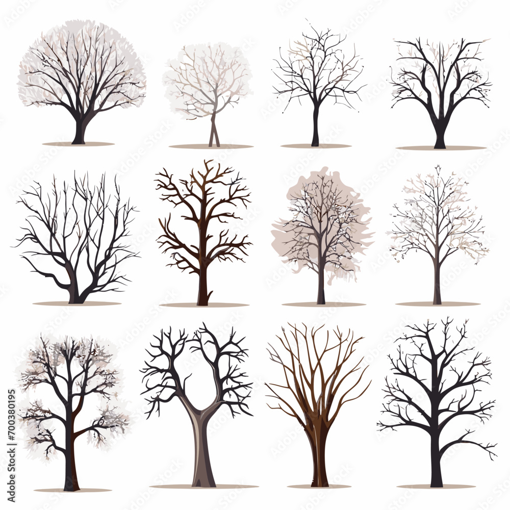 Obraz premium winter tree bare trees collection
