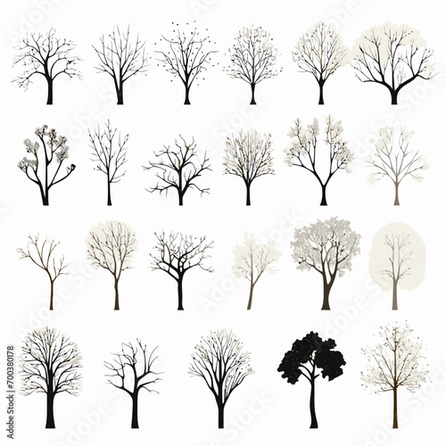 winter tree bare trees collection
