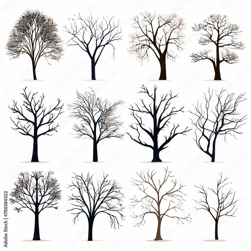 Obraz premium winter tree bare trees collection