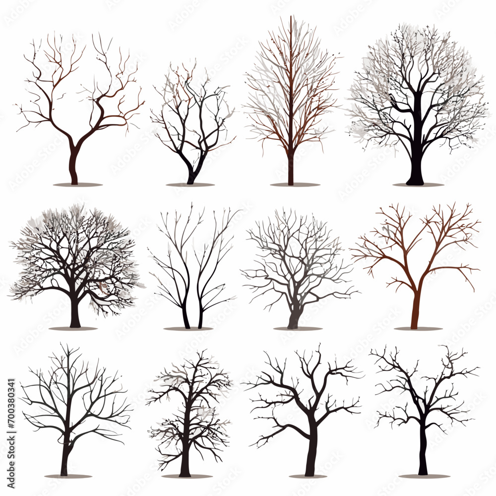 Obraz premium winter tree bare trees collection