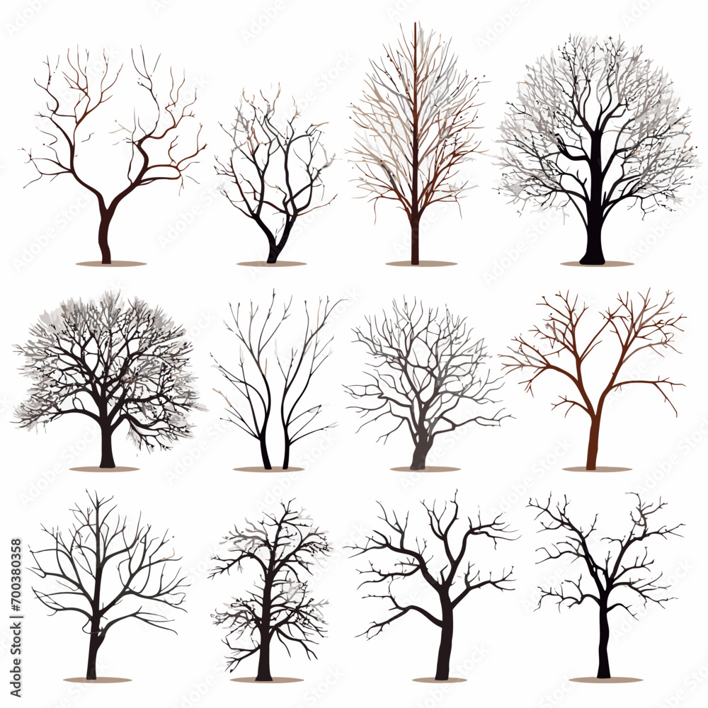 Obraz premium winter tree bare trees collection