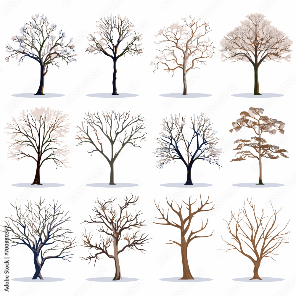 Obraz premium winter tree bare trees collection