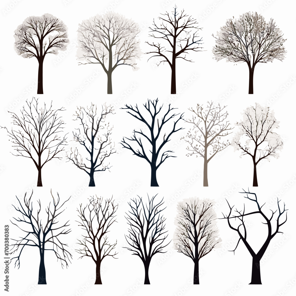Obraz premium winter tree bare trees collection