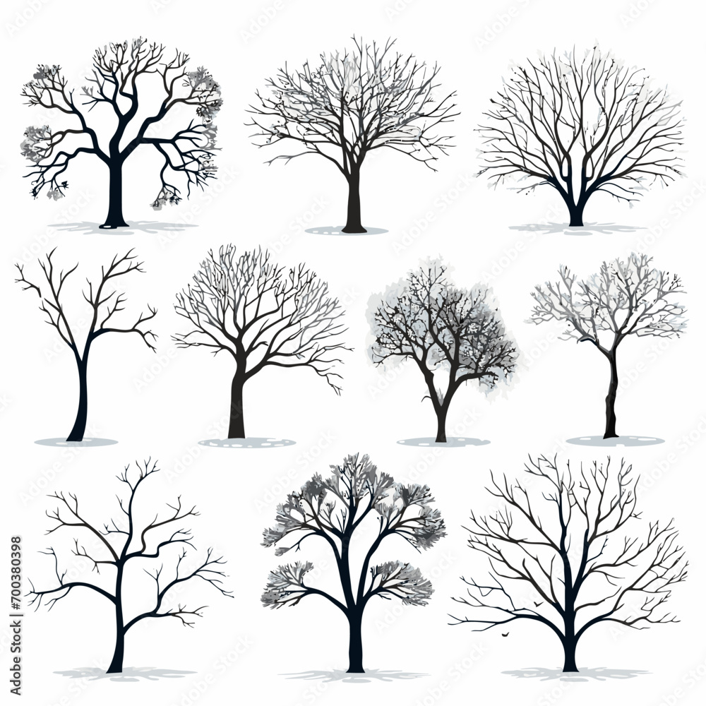 Obraz premium winter tree bare trees collection