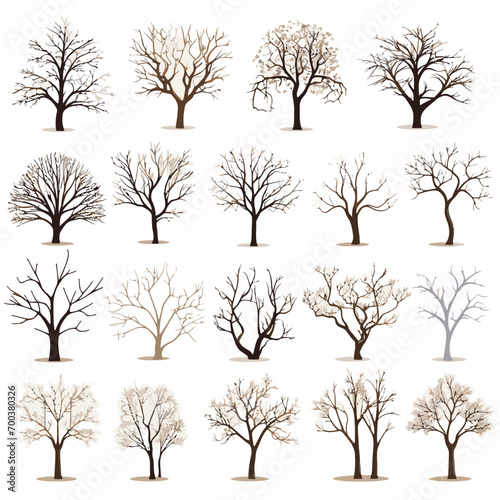 winter tree bare trees collection