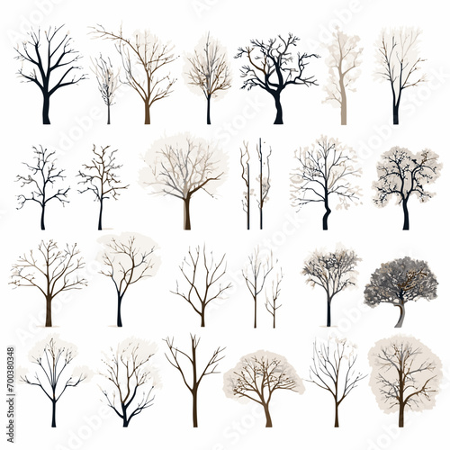winter tree bare trees collection photo