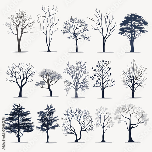 winter tree bare trees collection