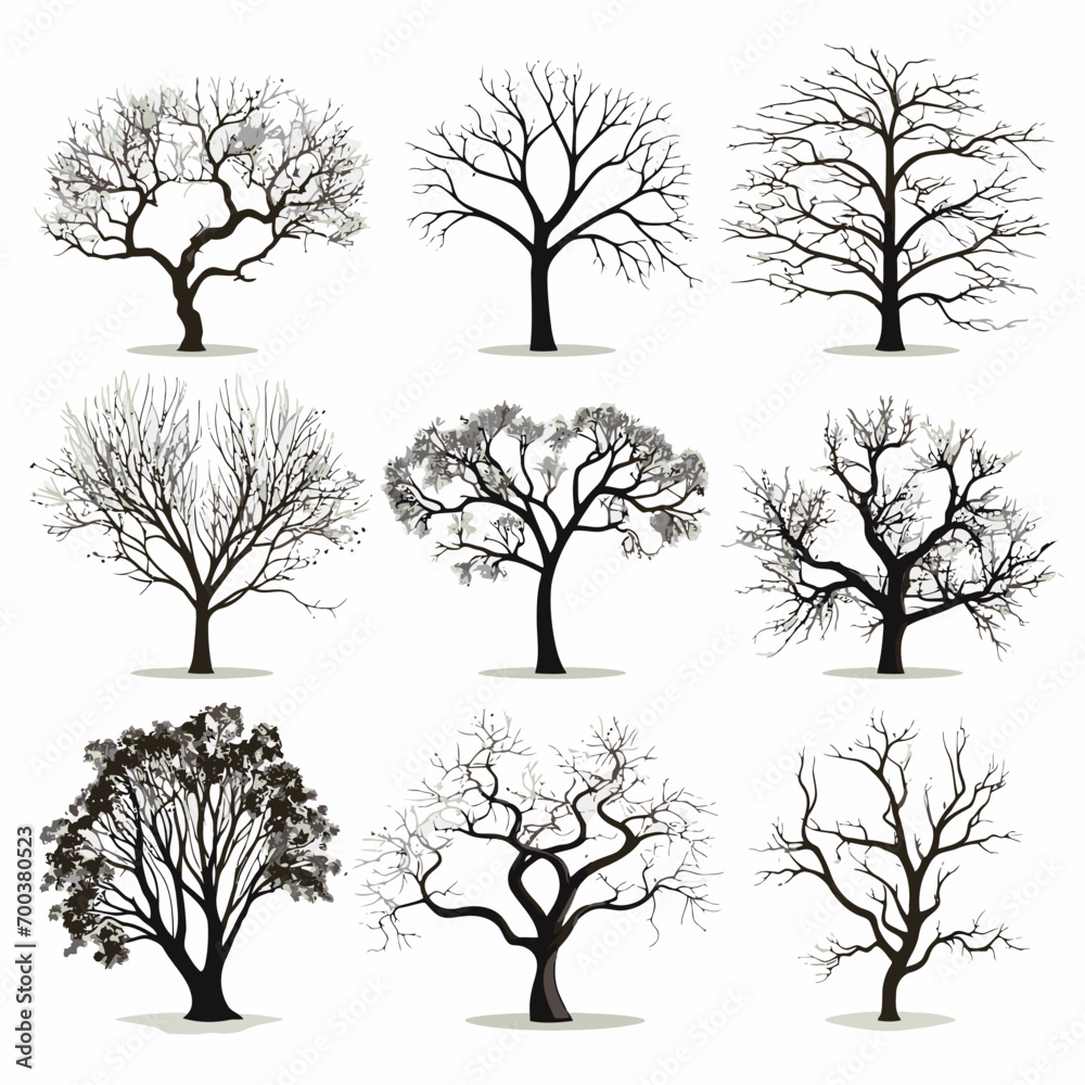 Obraz premium Vector winter bare tree collection